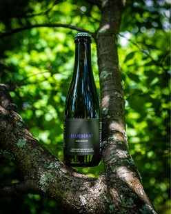 酸厂|美国农舍山/希尔农庄 蓝莓2020/爱的作品 农舍艾尔 精酿啤酒