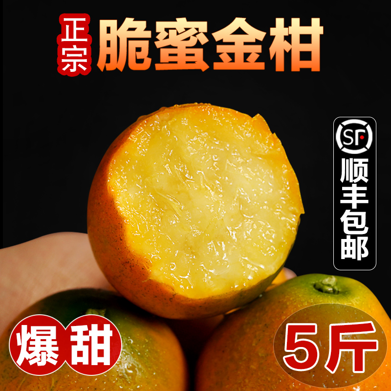 脆蜜金柑第三代广西融安脆蜜金桔新鲜当季水果整箱顺丰包邮