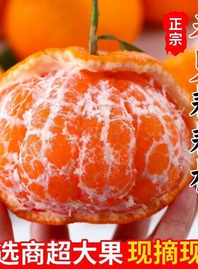 【包邮】四川蒲江特级皮薄春见耙耙柑新鲜水果产地直发