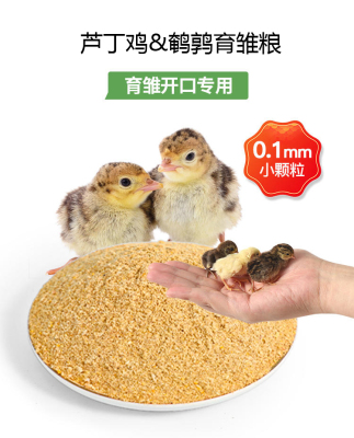 芦丁鸡鹌鹑专用育雏饲料开口粮卢丁沙维鹌鹑产蛋下单粮食食料食物