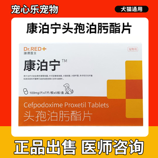 康泊宁头孢瑞德医生泊肟酯片猫狗消炎药感冒皮肤病鼻支泌尿宠泊宁