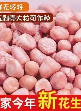 【亏本5斤】东北农家白沙花生米新鲜特大生花生米精选颗粒饱满货