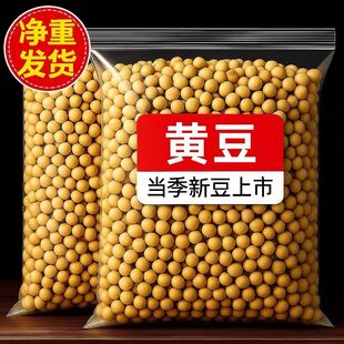 东北25年新货精品黄豆黑龙江农家高蛋白打豆浆发豆芽 爆亏5斤