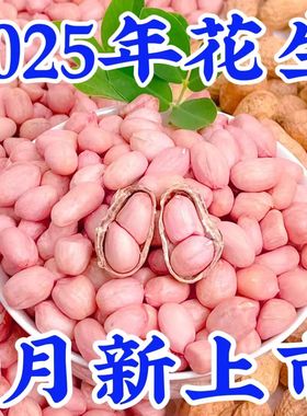 【今年9月新货】推荐5斤新白沙花生米精选新鲜晒干无壳生花生米
