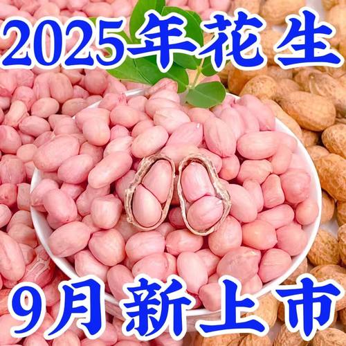精选无壳生花生米新货白沙花生米