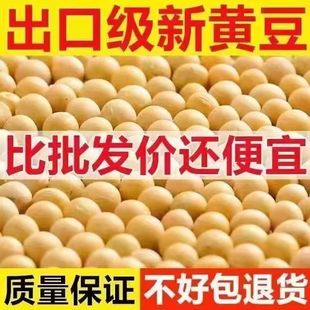 新货小黄豆25年黑龙江高蛋白东北豆腐大豆专用豆浆豆芽农家转基因