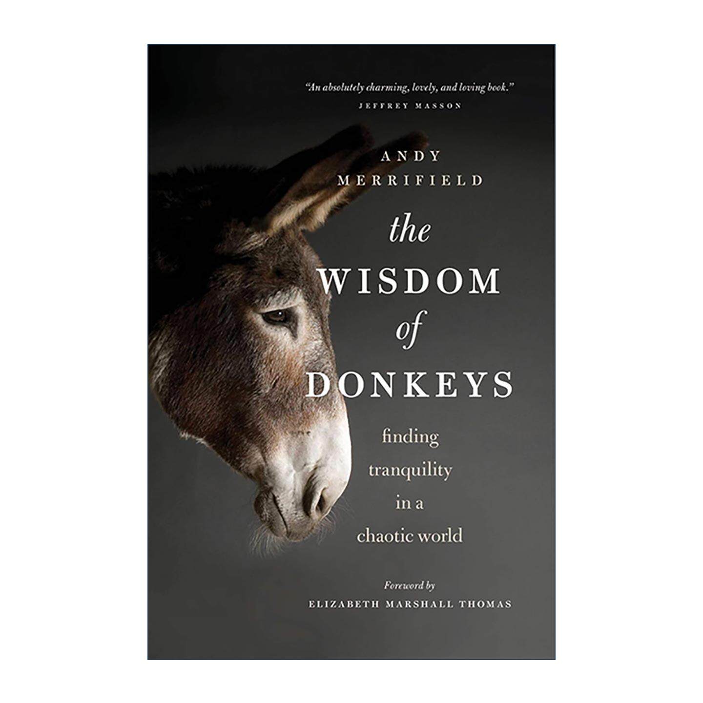 英文原版 Wisdom of Donkeys 大智若驴 在纷乱的世界寻找宁静 Andy Merrifield 英文版 进口英语原版书籍