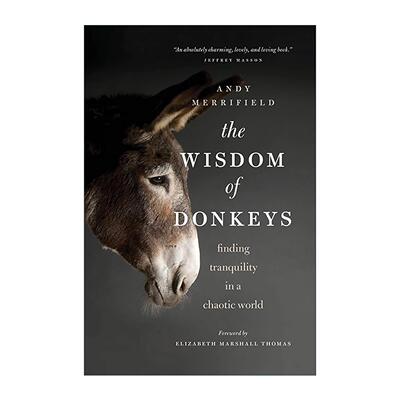 英文原版 Wisdom of Donkeys 大智若驴 在纷乱的世界寻找宁静 Andy Merrifield 英文版 进口英语原版书籍
