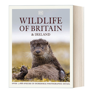 精装 Wildlife 全彩大开本 Ireland Britain 野生动物摄影集 and