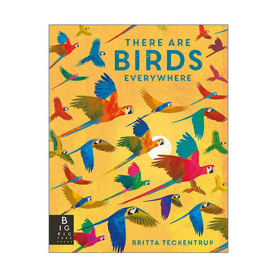 英文原版 There are Birds Everywhere 无处不在的鸟儿 儿童自然科普百科精装艺术绘本 博洛尼亚获奖插画师Britta Teckentrup
