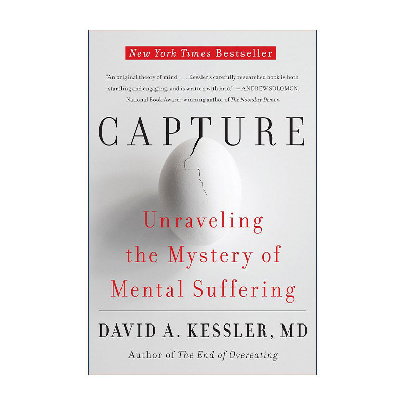 英文原版 Capture 被绑架的心灵 英文版 进口英语原版书籍