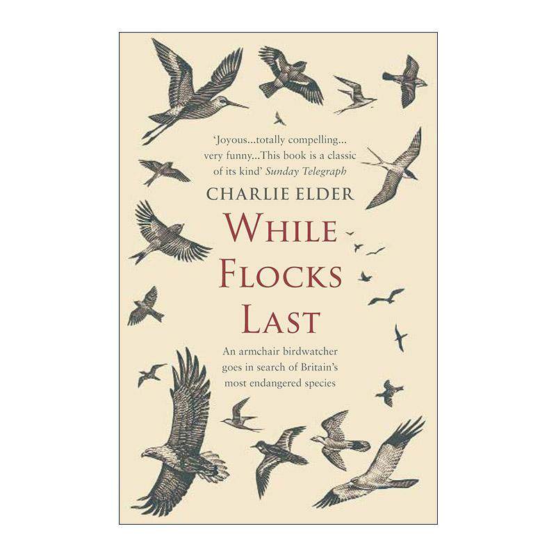 英文原版 While Flocks Last 趁鸟群仍在 守护鸟类的当下行动 Charlie Elder 自然环保书籍 英文版 进口英语原版书籍