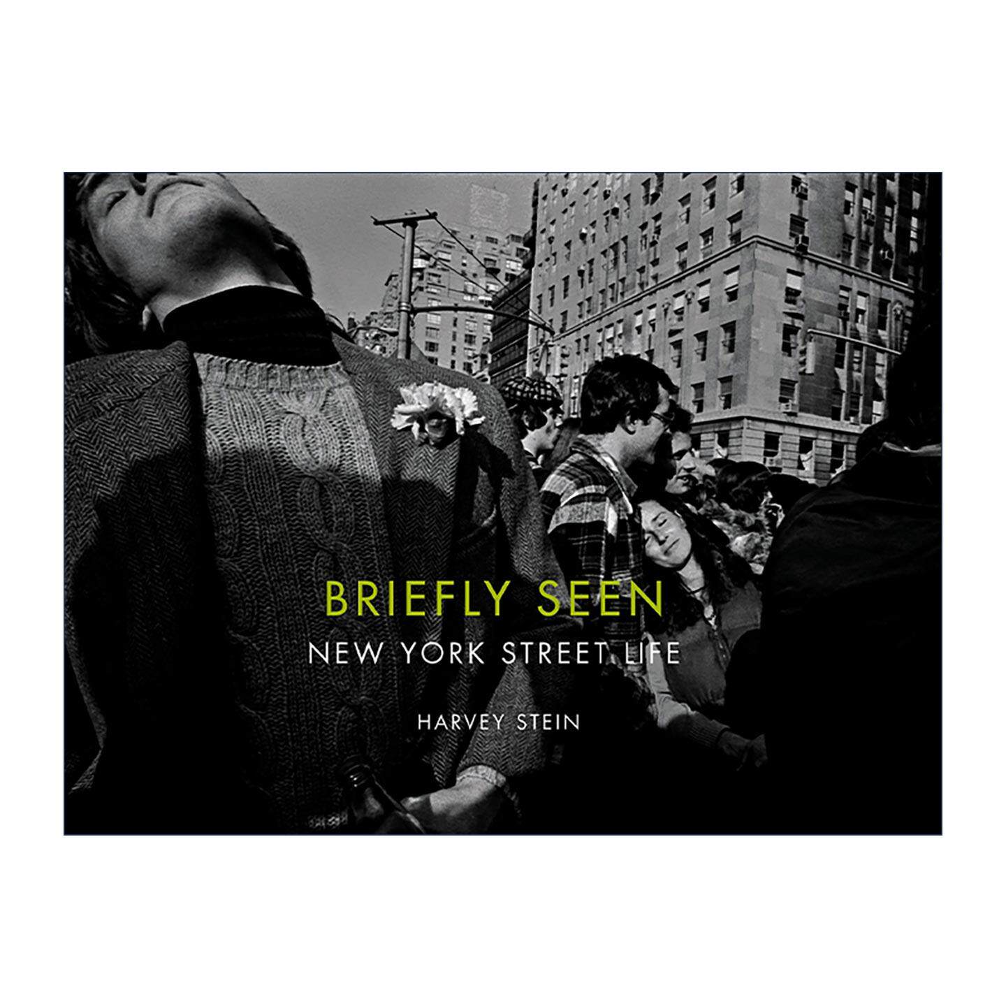 英文原版 Briefly Seen 简览 纽约街头生活 曼哈顿 精装摄影艺术图册 Harvey Stein 英文版 进口英语原版书籍