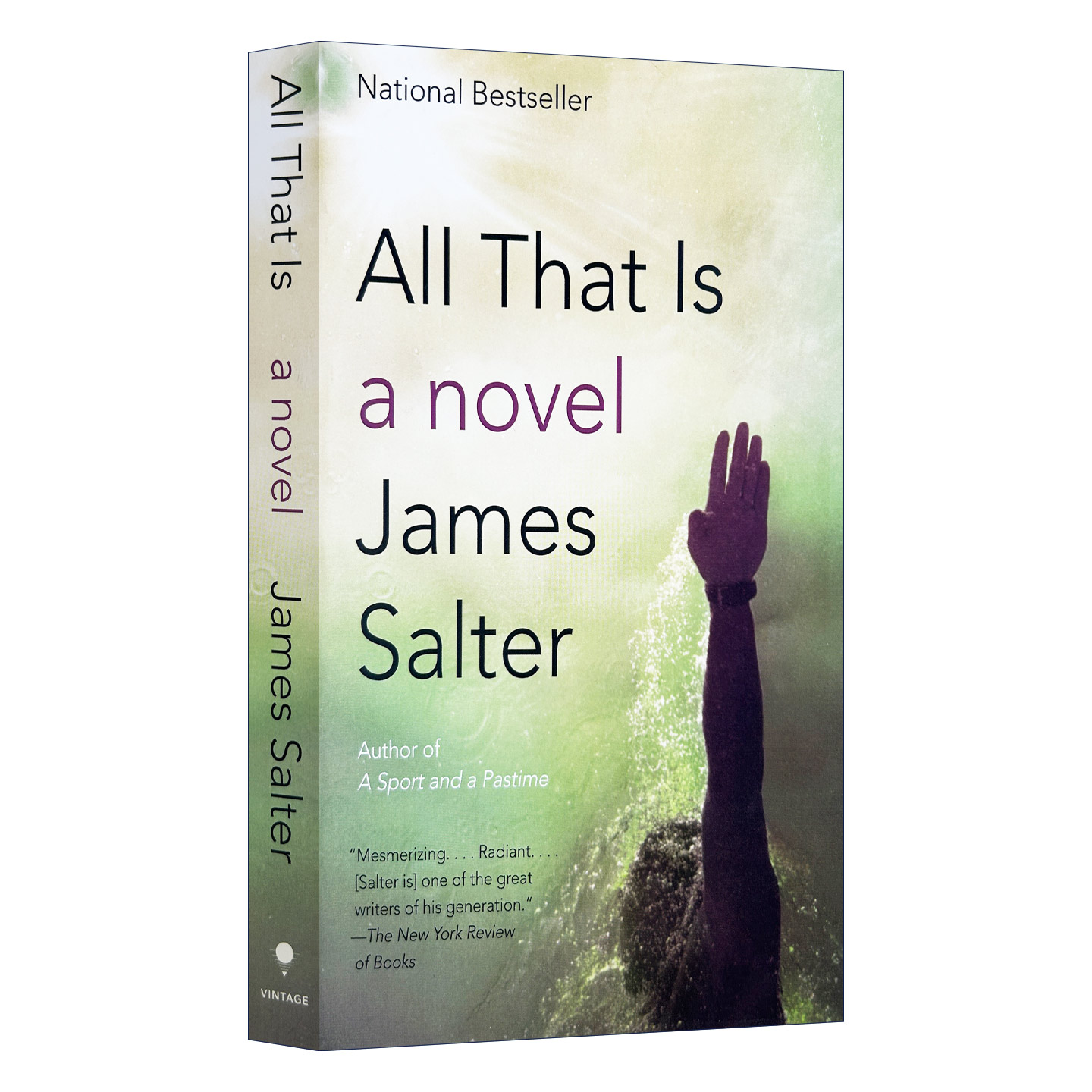 All That Is (Vintage International) 这一切 James Salter詹姆斯·索