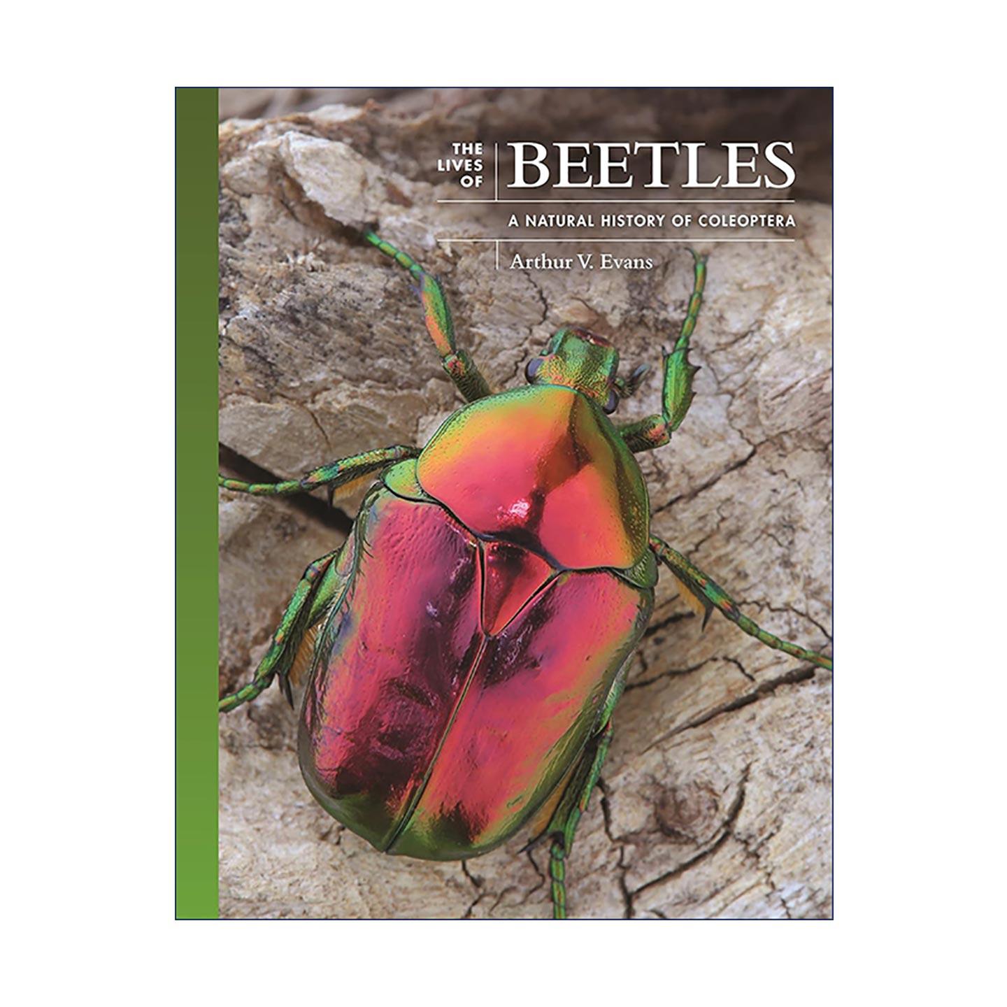 英文原版 The Lives of Beetles 甲虫 鞘翅目征服地球 自然史 阿瑟·文森特·埃文斯 普林斯顿 精装 英文版 进口英语原版书籍