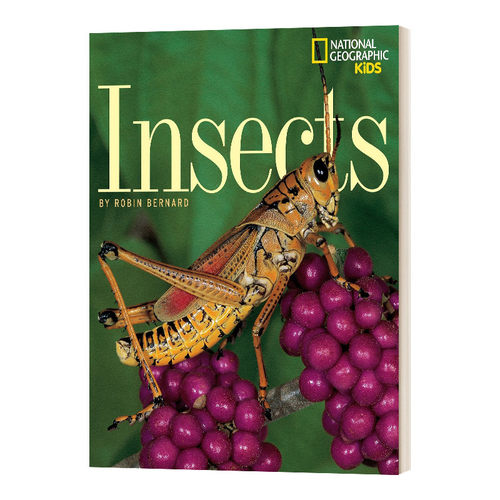 Insects昆虫国家地理儿童读物