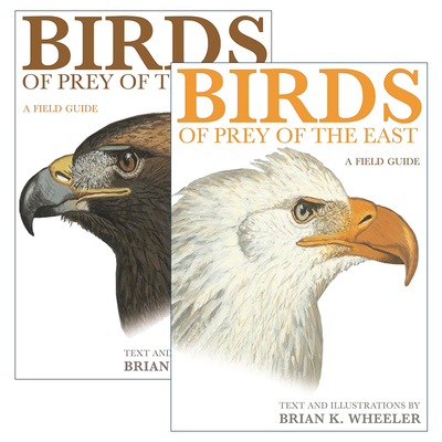 英文原版 Birds of Prey系列 套装2册 观鸟指南 Brian K. Wheeler 英文版 进口英语原版书籍