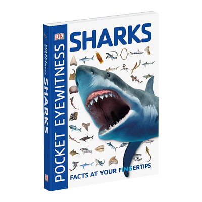 DK目击者口袋系列鲨鱼英文原版