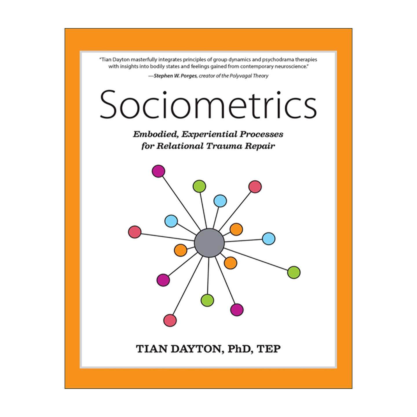 英文原版 Sociometrics 社会计量学 用于修复关系创伤的具身化 体验式过程 PTSD 心理治疗 英文版 进口英语原版书籍