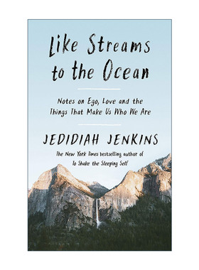 英文原版 Like Streams to the Ocean 似溪流入海 关于自我 爱和那些造就我们的一切 杰迪迪亚·詹金斯 精装 进口英语原版书籍