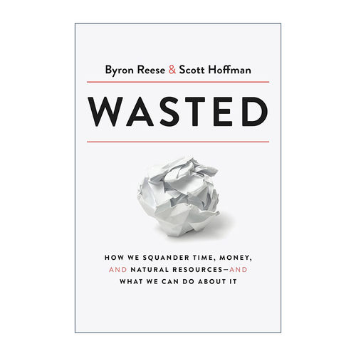 英文原版 Wasted 浪费 如何节省时间 金钱和自然资源 人工智能哲学作者Byron Reese 精装 英文版 进口英语原版书籍