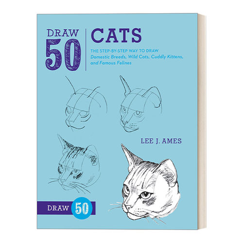 画50系列猫家猫野猫猫科动物