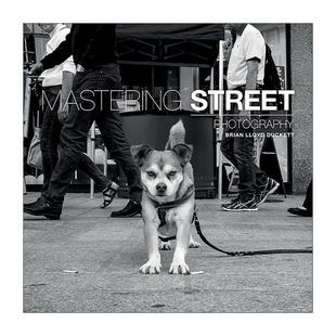 英文原版 Mastering Street Photography 街头摄影艺术 英文版 进口英语原版书籍