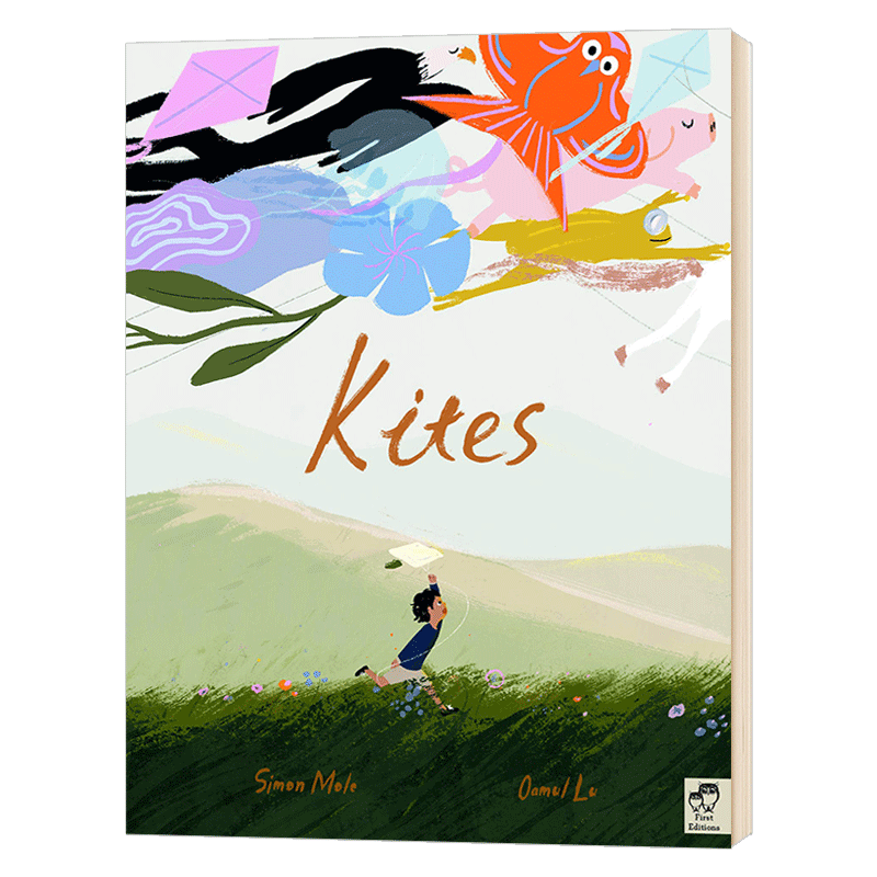 风筝 中国新锐插画师卤猫 Kites 精装 自信 独立 友谊 自我认知 卤猫新书 英文原版绘本 进口英语书籍