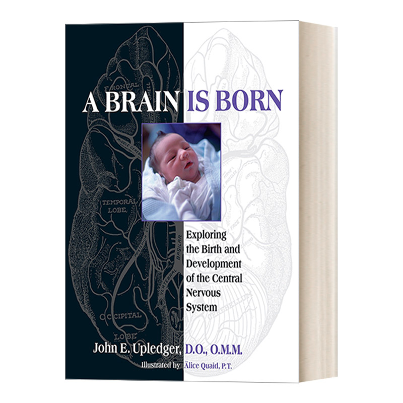 英文原版 A Brain Is Born 一个大脑的诞生 索中枢神经系统的诞生和发展 另类疗法 健康 John E.Upledger 英文版 进口英语原版书籍