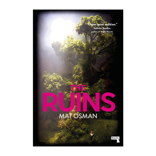 The Ruins 成名之日 一位摇滚歌手的两次非正常死亡 推理小说 Mat Osman