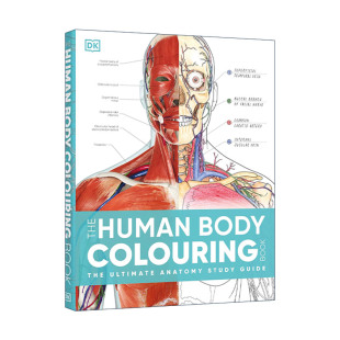 人体涂色书 书籍 Human 进口英语原版 英文版 深度理解加深记忆 Book Colouring Body The 英文原版