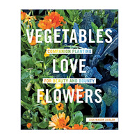 Vegetables Love Flowers 蔬菜恋上花 绿色植物种植