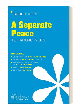 文学导读系列 独自和解 Separate Peace SparkNotes Literature Guide 英文原版中学教辅 进口英语书籍