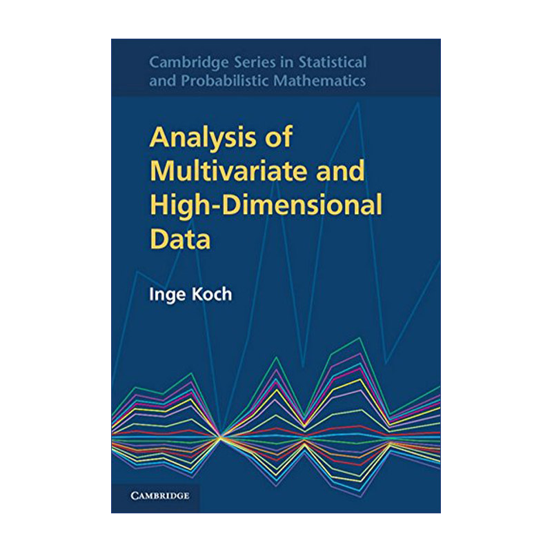 英文原版 Analysis of Multivariate and High-Dimensional Data 多变量与高维数据分析 理论与实践 英文版 进口英语原版书籍