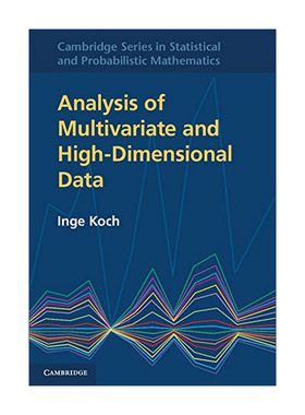 英文原版 Analysis of Multivariate and High-Dimensional Data 多变量与高维数据分析 理论与实践 英文版 进口英语原版书籍