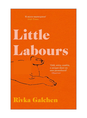 英文原版 Little Labours 小孕妇 里夫卡·加尔琴 女性小说 英文版 进口英语原版书籍