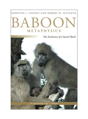 英文原版 Baboon Metaphysics 狒狒形而上学 社会心智的进化 生物学教授Dorothy L. Cheney 英文版 进口英语原版书籍