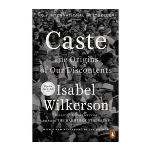 That Lies Divide 分裂 Caste 论美国 The