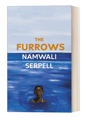 The Furrows 皱纹 亚瑟·克拉克奖作家Namwali Serpell 纽约时报2022十大好书