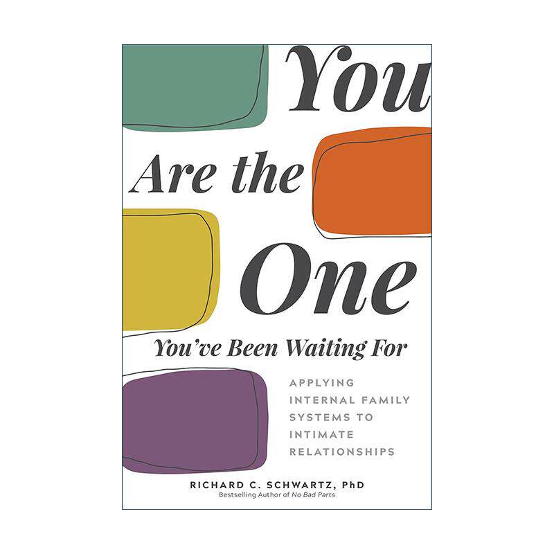 英文原版 You Are the One You've Been Waiting For 你才是自己命运的缔造者 亲密关系上的IFS 理查德·施沃茨 进口英语原版书籍
