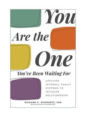 英文原版 You Are the One You've Been Waiting For 你才是自己命运的缔造者 亲密关系上的IFS 理查德·施沃茨 进口英语原版书籍