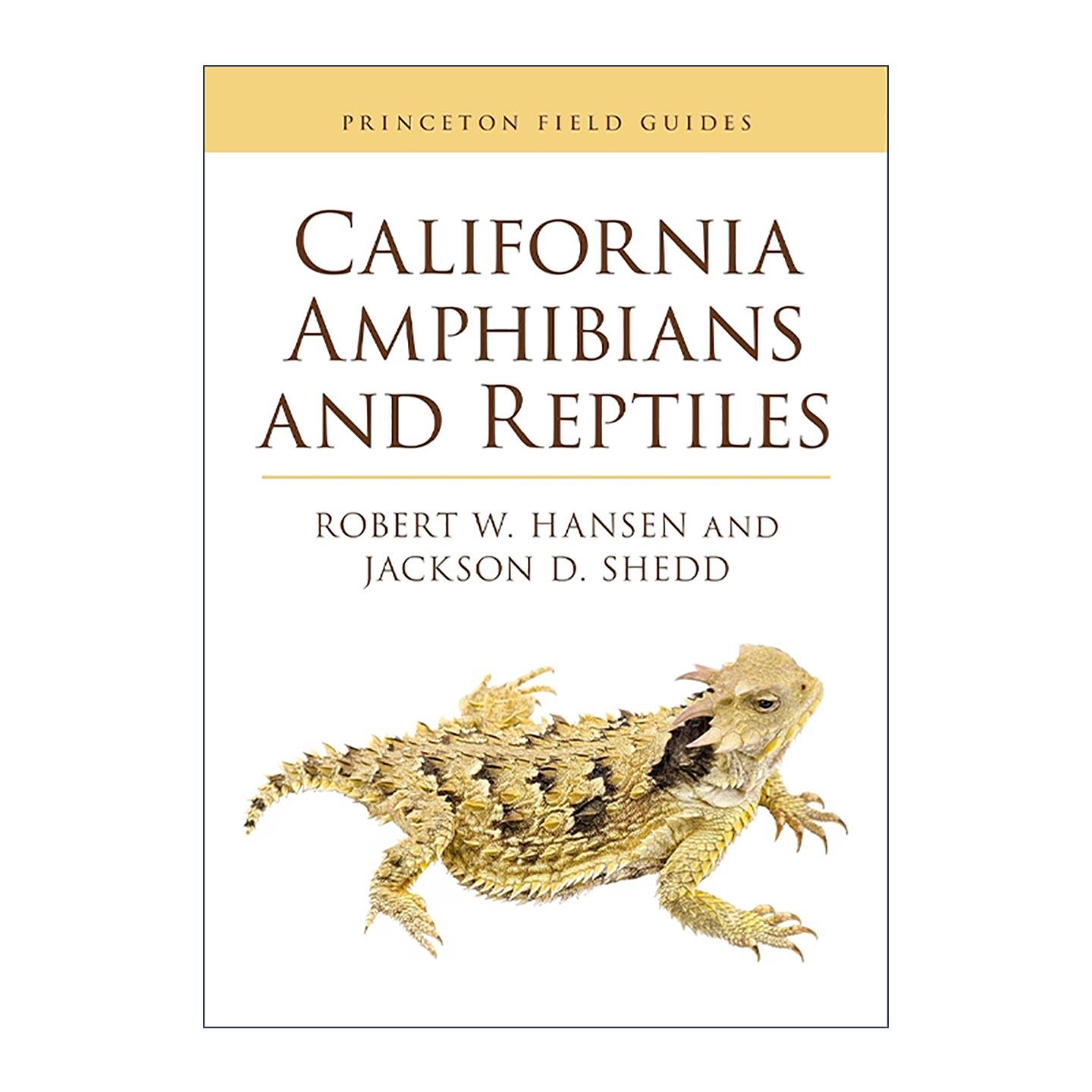 英文原版 California Amphibians and Reptiles 加州两栖动物和爬行动物 普林斯顿图解手册 插图指南 英文版 进口英语原版书籍