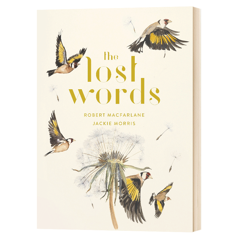 消失的语言 动植物水彩画 The Lost Words 英文原版艺术画册童书 英文版儿童读物 进口原版英语书籍