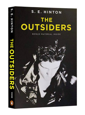 The Outsiders 追逐金色的少年 局外人 美版 英文原版小说 进口书籍