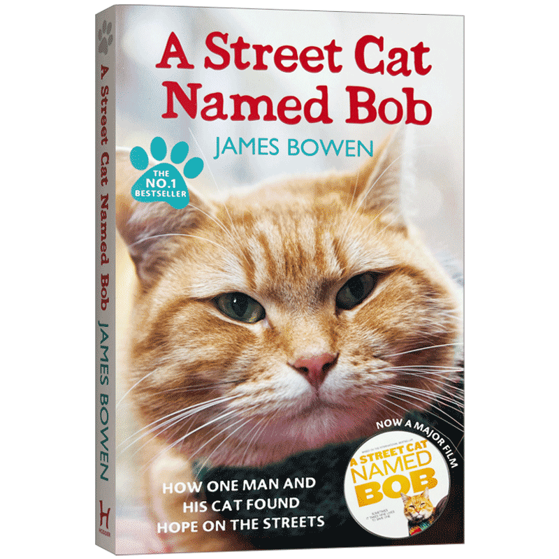 一只名叫鲍勃的流浪猫英文版小说