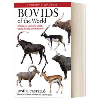 英文原版 Bovids of the World 世界反刍动物 羚羊 瞪羚 家牛 山羊 绵羊与其近亲 José R. Castelló 英文版 进口英语原版书