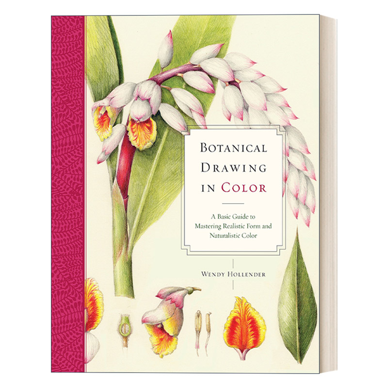 英文原版 Botanical Drawing in Color 彩色植物画 掌握逼真形态和自然色彩的基本指南 美术 Wendy Hollender 英文版 进口英语书籍