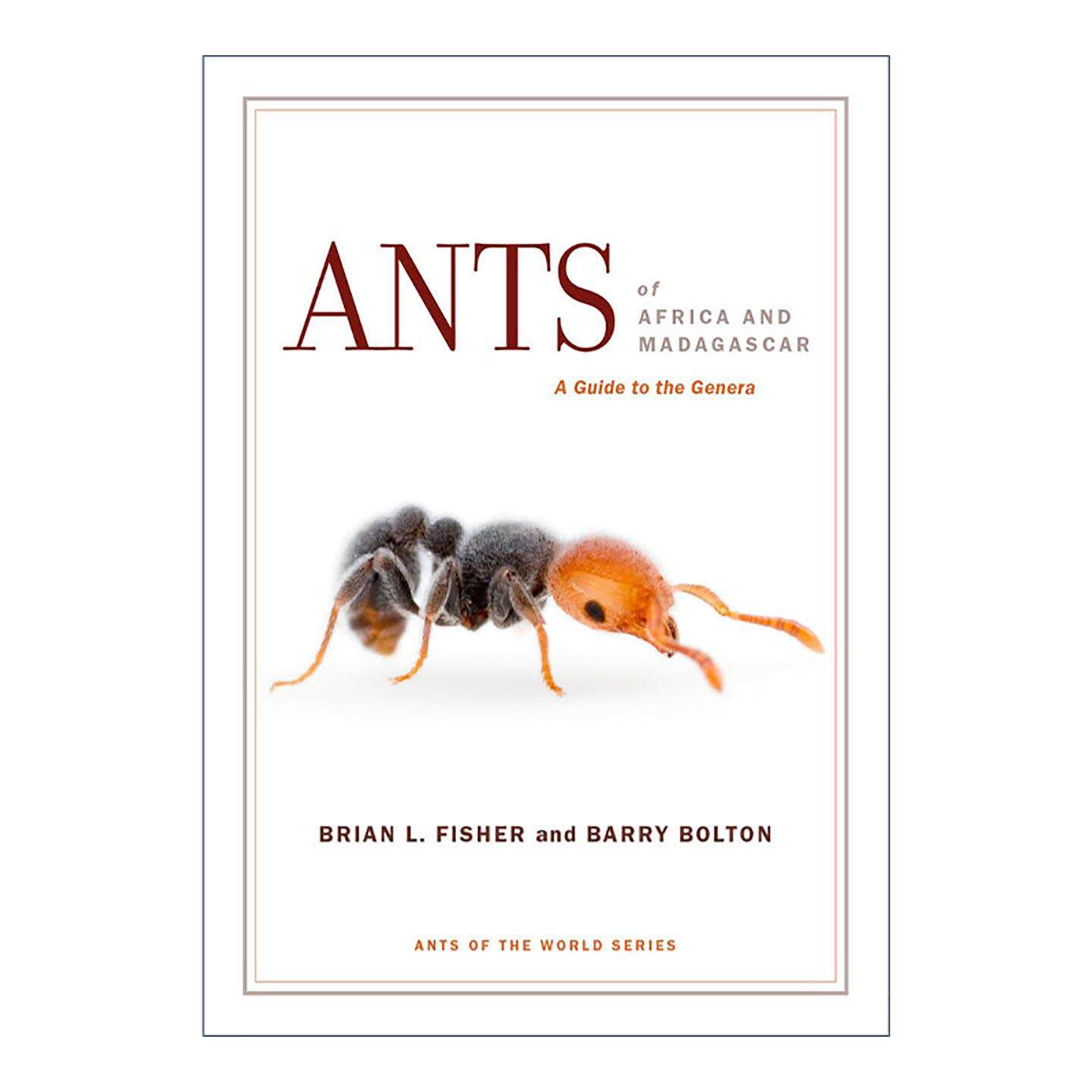 英文原版 Ants of Africa and Madagascar 非洲和马达加斯加的蚂蚁 蚁属指南 Brian L. Fisher 加州大学 英文版 进口英语原版书籍