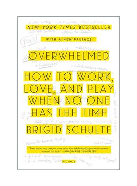 英文原版 Overwhelmed 不堪重负 如何在没人有时间的时候工作 恋爱和娱乐 英文版 进口英语原版书籍