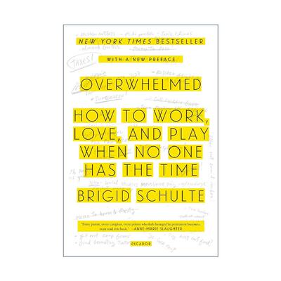 英文原版 Overwhelmed 不堪重负 如何在没人有时间的时候工作 恋爱和娱乐 英文版 进口英语原版书籍